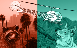 Featured image for The Los Angeles Animal Airlift 