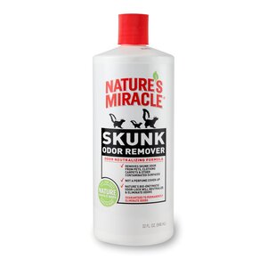 Featured image for Skunks and Lawns 